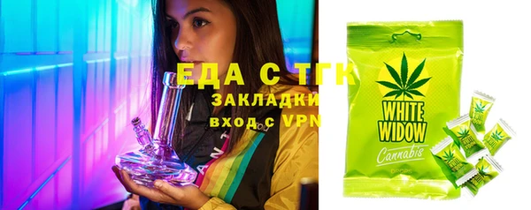 индика Елабуга