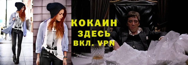 индика Елабуга