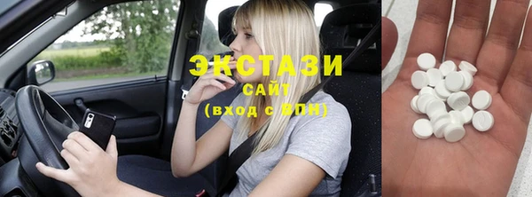 индика Елабуга