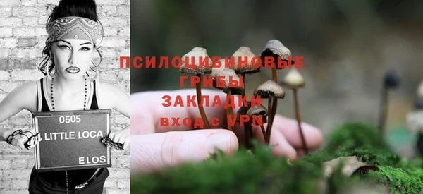 индика Елабуга