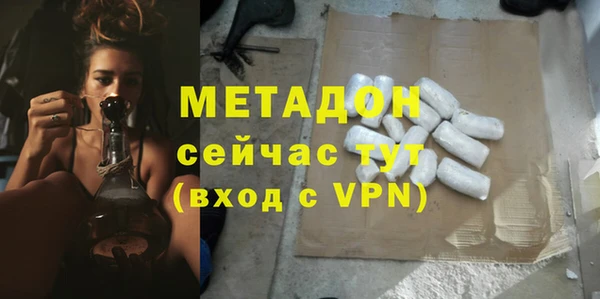 индика Елабуга