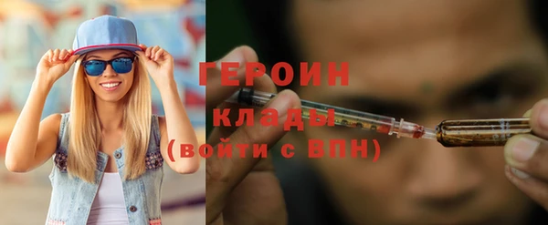 индика Елабуга
