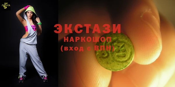 индика Елабуга