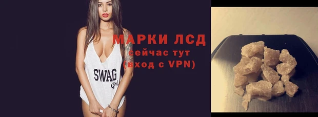 индика Елабуга