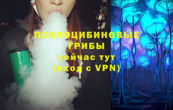 PSILOCYBIN Елизово