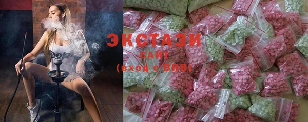 индика Елабуга