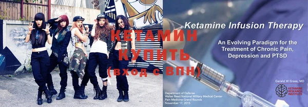 индика Елабуга