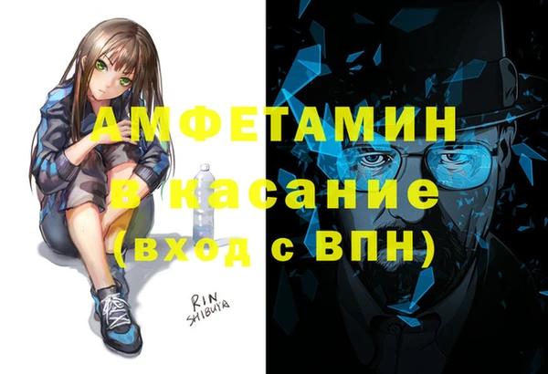 индика Елабуга