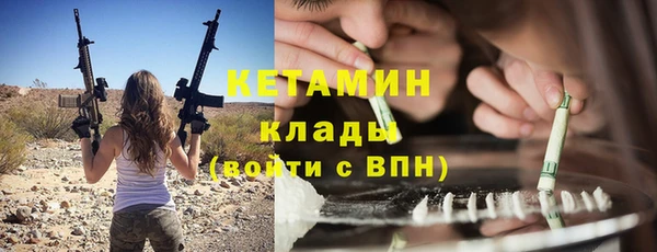 индика Елабуга