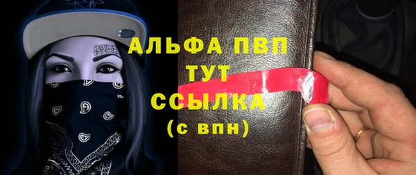 индика Елабуга