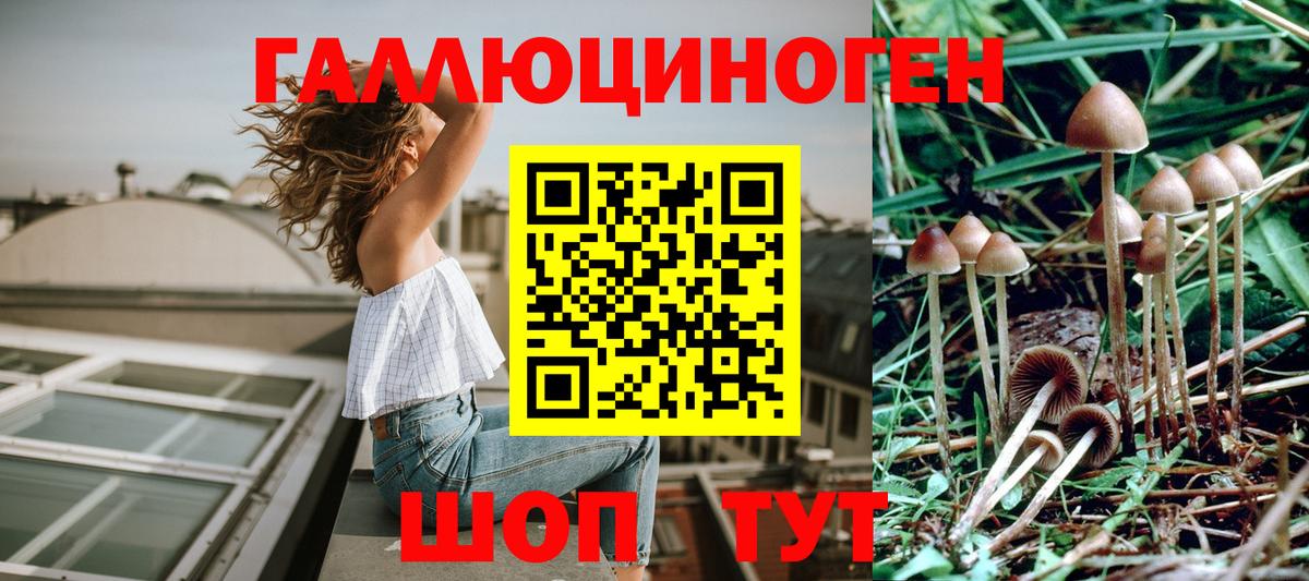 Псилоцибиновые грибы MAGIC MUSHROOMS  Галлюциногенные грибы Magic Shrooms  Вход с VPN  Звенигород 