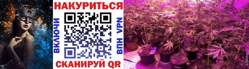 Шишки марихуана Amnesia Звенигород